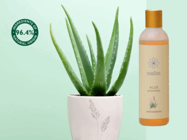 Aloe Shampoo