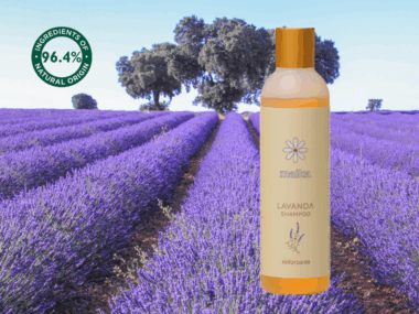 Lavanda Shampoo